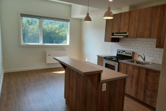 Kitchen-and-living-space